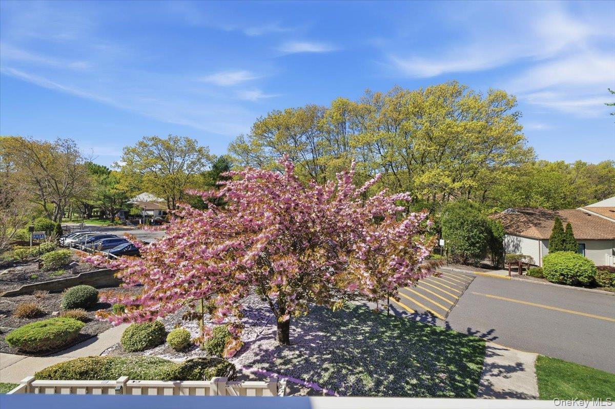 1001 Skyline Dr, Coram, NY 11727