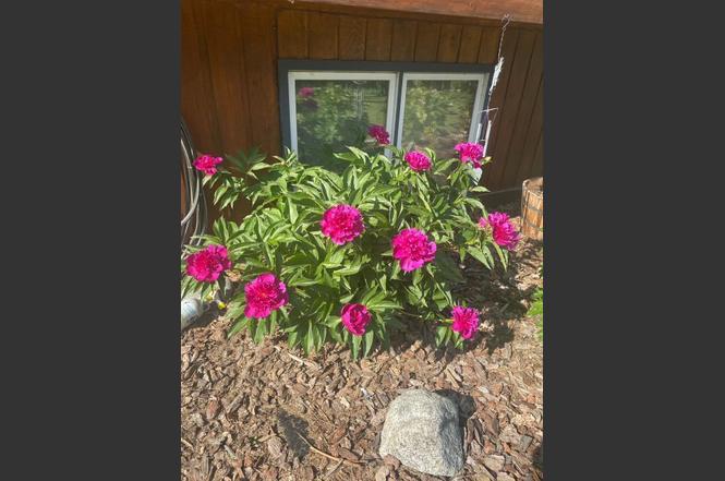 616 Steele Creek Rd, Fairbanks, AK 99712