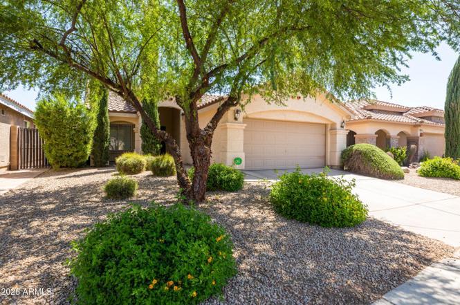 19835 N 33rd St, Phoenix, AZ 85050