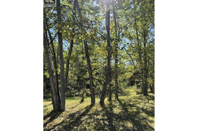 20655 HOSSACK Rd, Bulkley-Nechako B, BC V0J 1E1